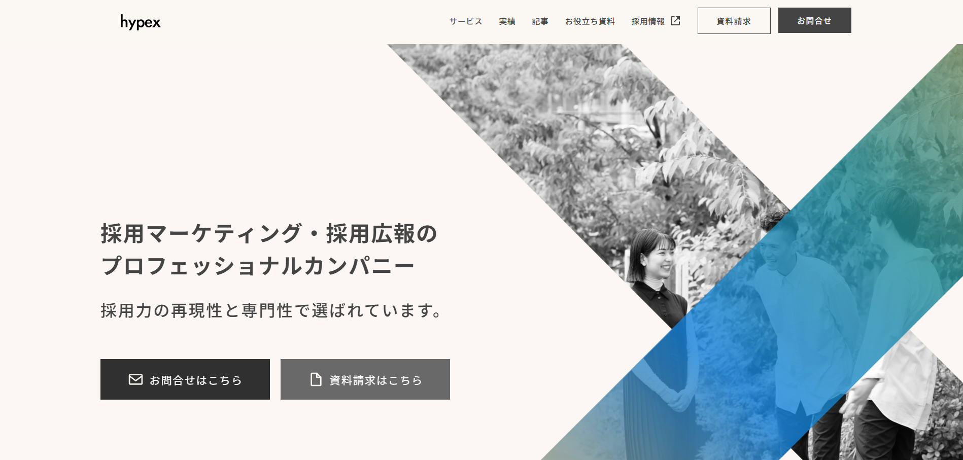 株式会社hypex:画像