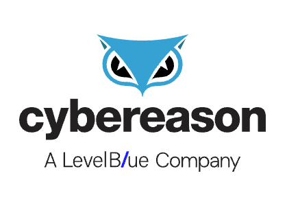 サイバーリーズン